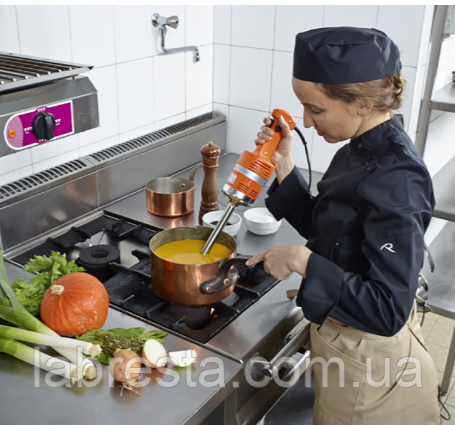 Міксер заглибний DYNAMIC JUNIOR DMX225 (MX021.V) купити в інтернет-магазині LabResta